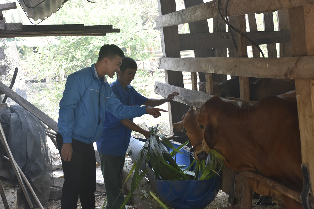 Tấm gương thủ lĩnh thanh niên làm kinh tế giỏi