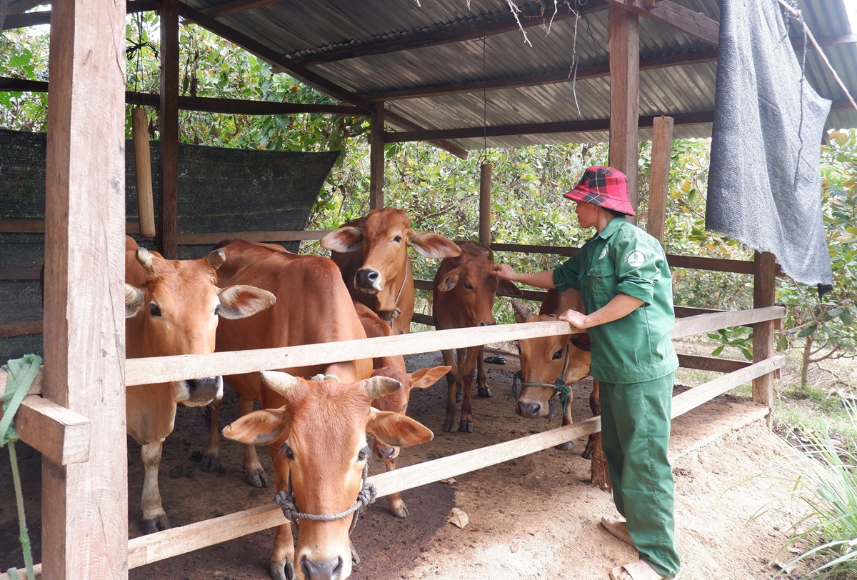 Đảng bộ huyện Ia H’Drai: Phát huy vai trò của cấp ủy trong vận động làm thay đổi nếp nghĩ, cách làm