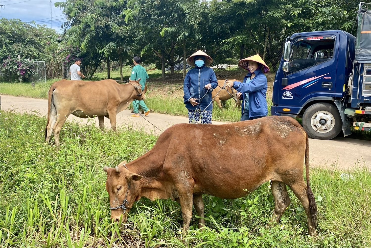 Ia H’Drai (Kon Tum): Hỗ trợ sinh kế theo nhu cầu, phù hợp với điều kiện hộ nghèo