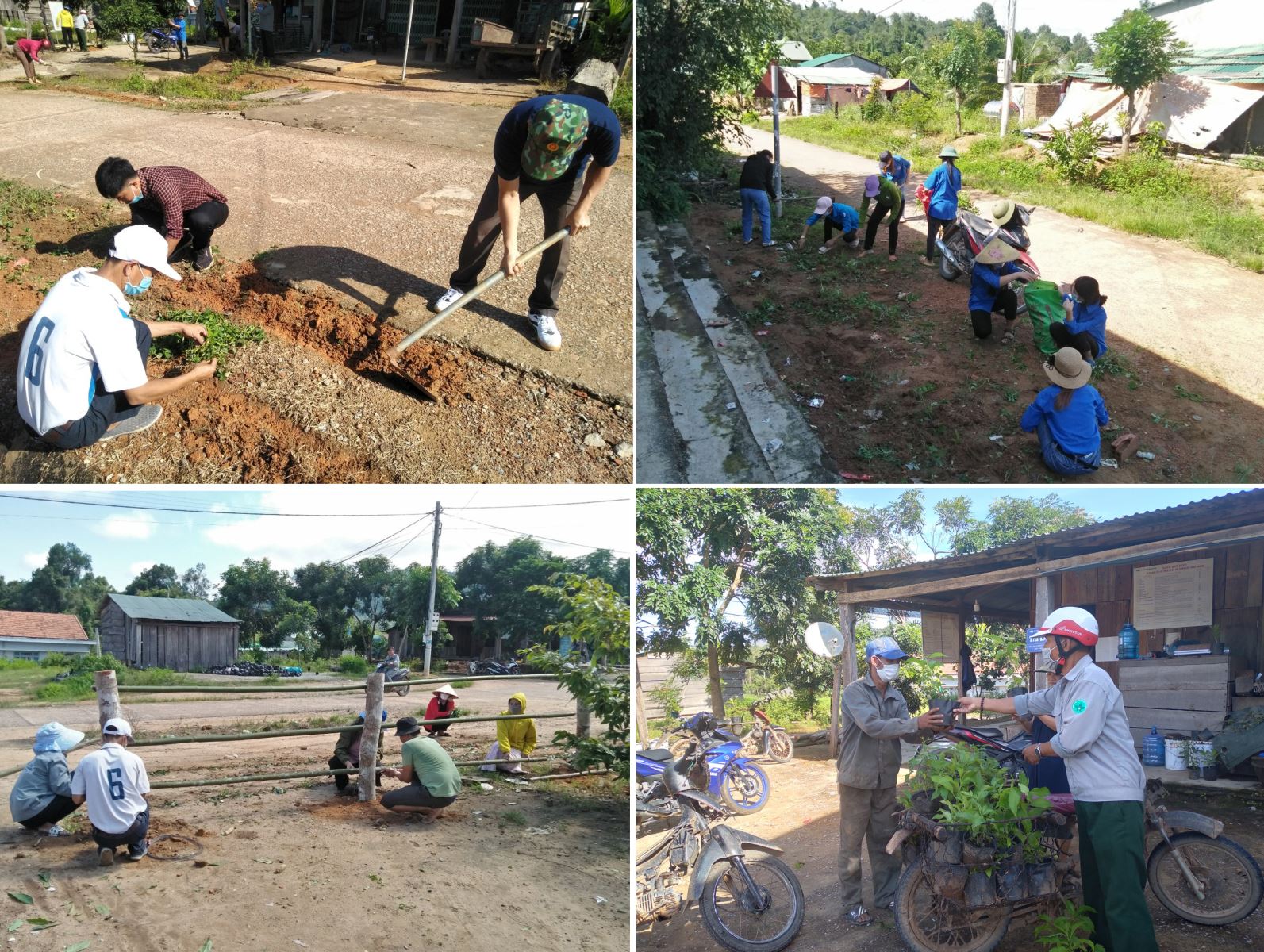 Ra quân trồng hoa, rào dậu khuôn viên tại Thôn 1, xã Ia Tơi