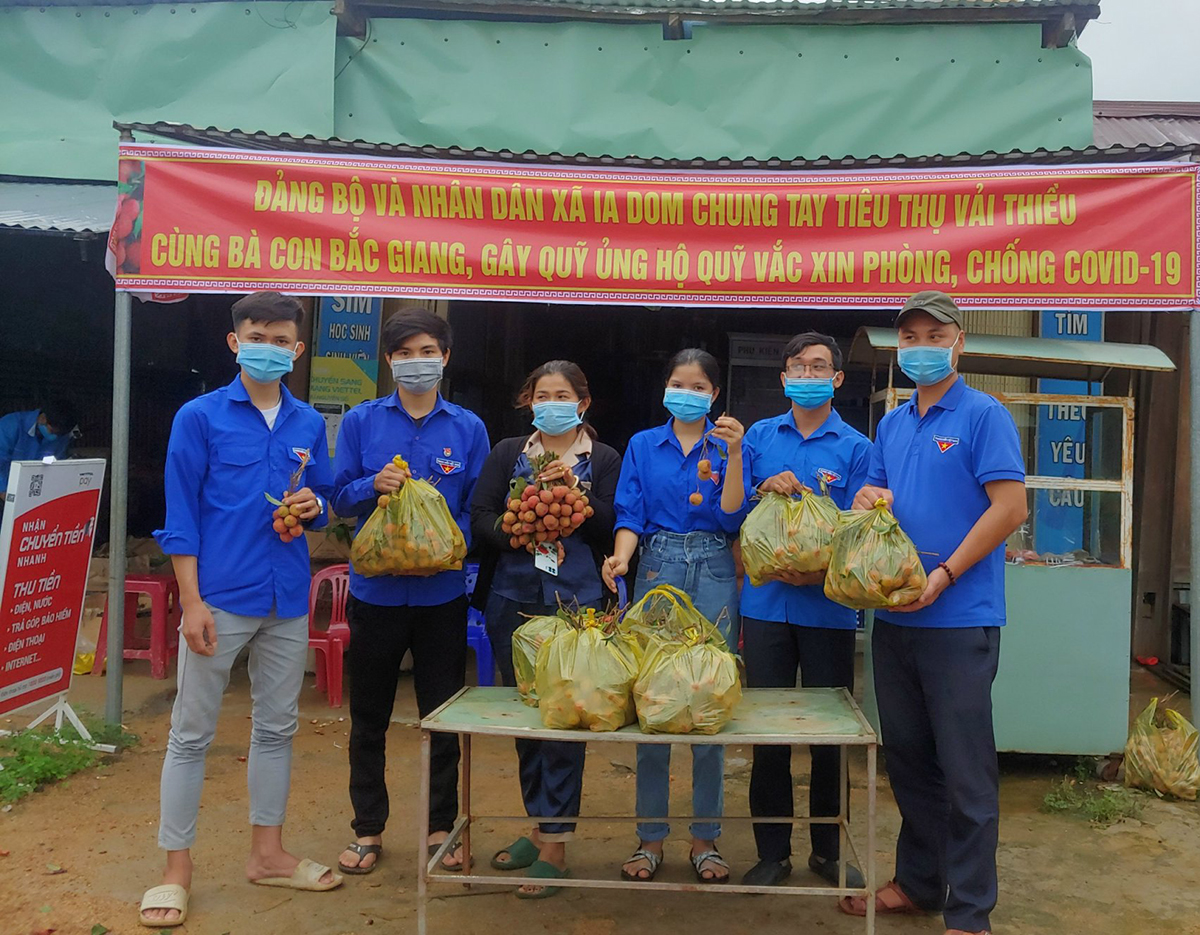 Đồng hành cùng Bắc Giang tiêu thụ vải thiều, gây Quỹ vắc xin phòng Covid-19 Việt Nam