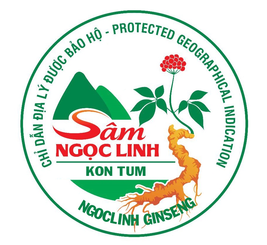 Sở Khoa học và Công nghệ tỉnh Kon Tum tổ chức họp công bố biểu tượng (Logo) Chỉ dẫn địa lý “Ngọc Linh” cho sản phẩm sâm củ của tỉnh Kon Tum