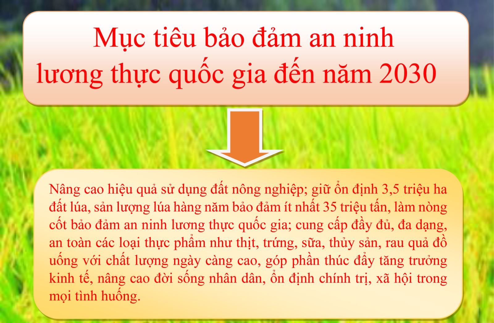 Mục tiêu, nhiệm vụ, giải pháp chủ yếu bảo đảm an ninh lương thực quốc gia đến năm 2030